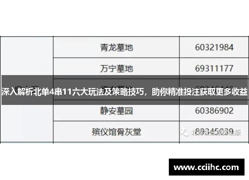 深入解析北单4串11六大玩法及策略技巧，助你精准投注获取更多收益