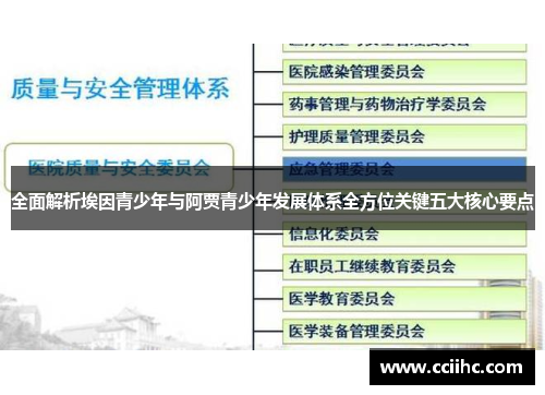 全面解析埃因青少年与阿贾青少年发展体系全方位关键五大核心要点